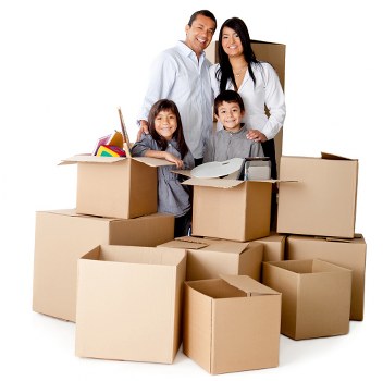 Professional equipment used for flat removals in Enfieldtown